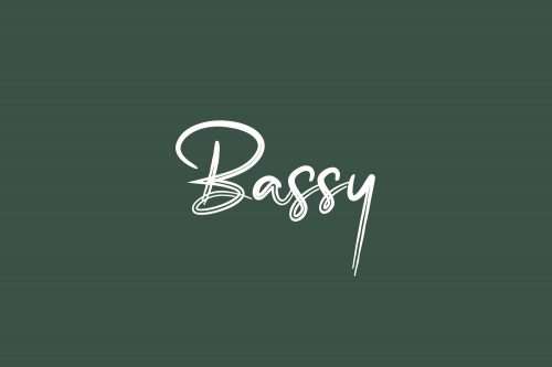 Bassy Font Download Latest