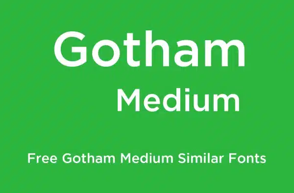 gotham-medium-italic-dafont